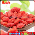 Nutriments de baies gogy dans les baies de goji lycium barbarum semi